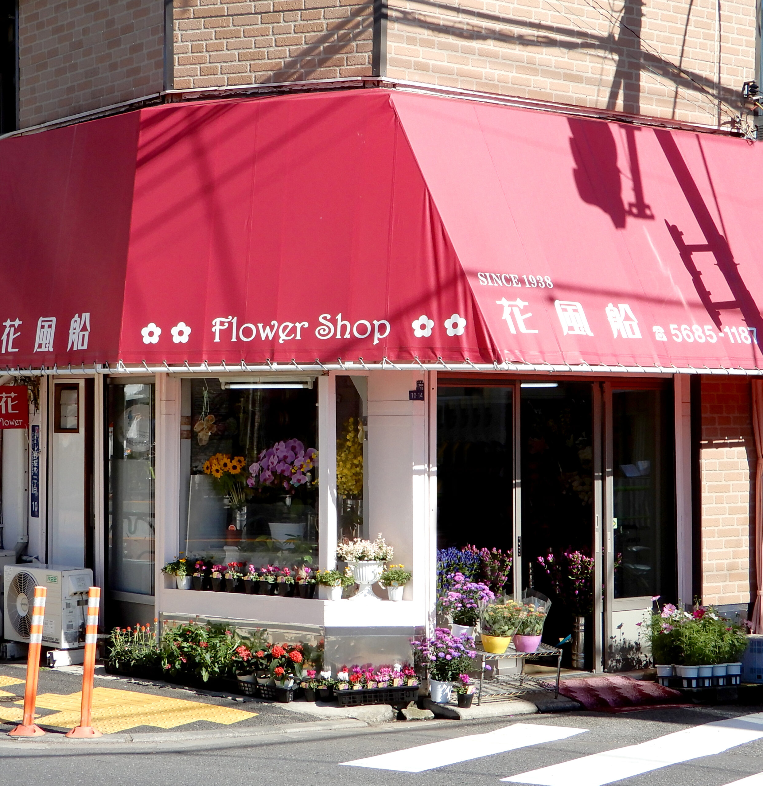 創業80年老舗花屋の「フラワーショップ花風船」可愛らしい赤いひさしが目印です