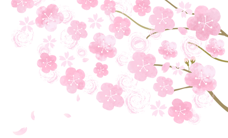 桜の香りでおうち花見を楽しく演出