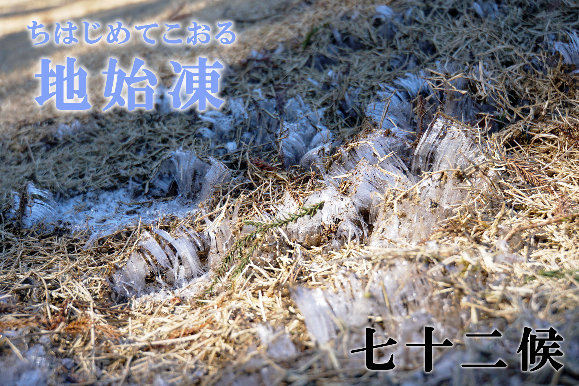 【七十二候】地始凍（ちはじめてこおる）　11月12日～11月16日頃