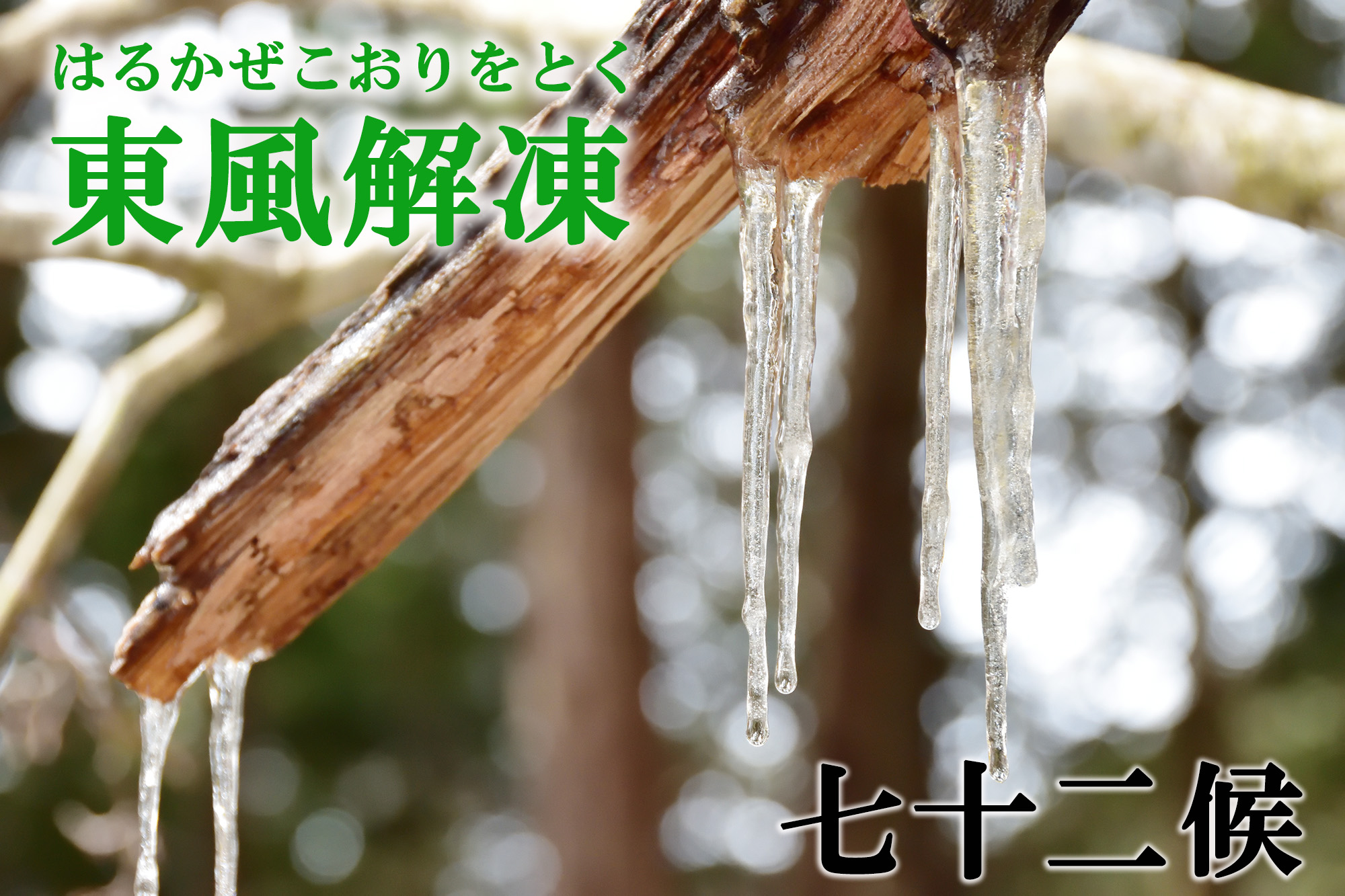 【七十二候】東風解凍（はるかぜこおりをとく）　2月4日～2月8日頃